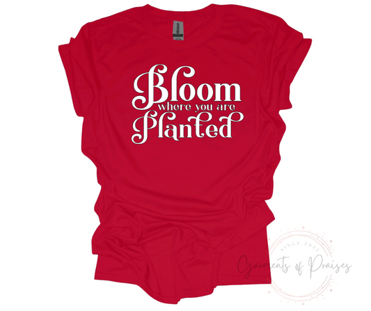 Bloom where you are Planted Tee!